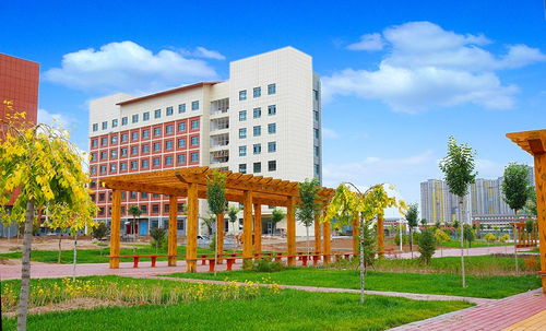 甘肅省衛(wèi)生學(xué)校招生網(wǎng) 甘肅衛(wèi)生職業(yè)學(xué)院美麗校園