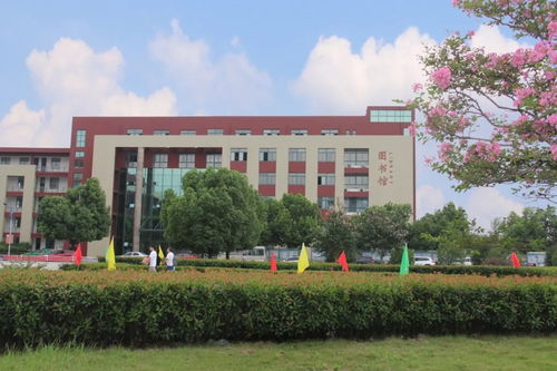 合肥共達職業(yè)技術(shù)學(xué)院2022報考指導(dǎo)