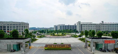 湖南食品藥品職業學院2020年提前招生進行時