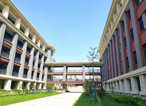 中安華力建設集團承建懷遠一中淮西校區ppp項目交付使用