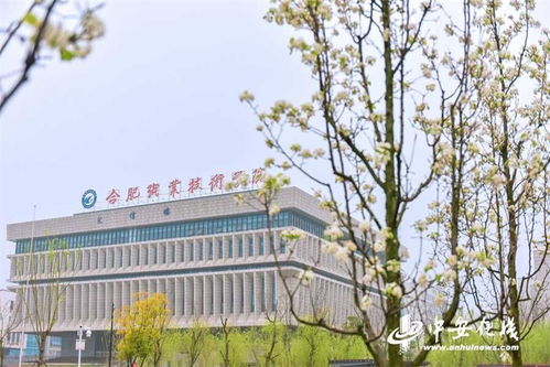 合肥職業技術學院 推行就業育人新模式服務地方經濟發展