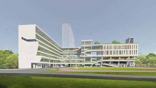 福田11所新建 改擴建學校今秋招生