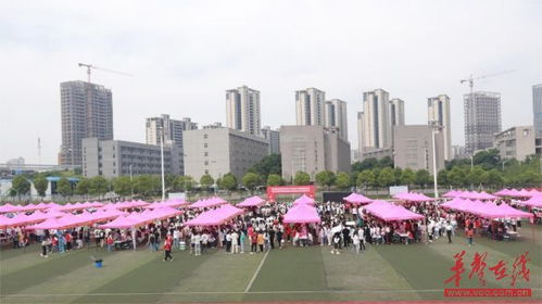 133家優(yōu)質(zhì)企業(yè) 5000余個專業(yè)崗位 湖南食品藥品職業(yè)學院讓學生在 家門口 優(yōu)質(zhì)就業(yè)