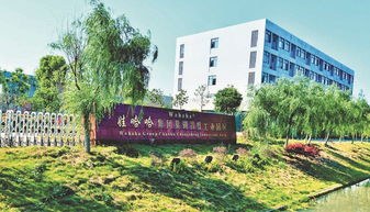 厲害了 合肥日報 專版報道巢湖市這項工作