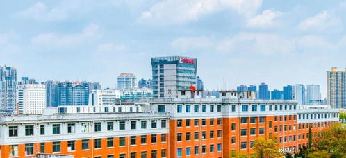 安徽最強的3所大學, 學科實力非常突出, 第一所只有學霸能考上