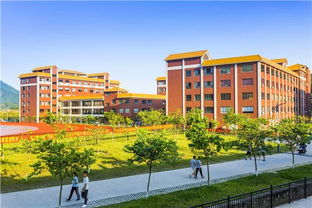 廣州珠江職業(yè)技術(shù)學院2019年人才引進計劃