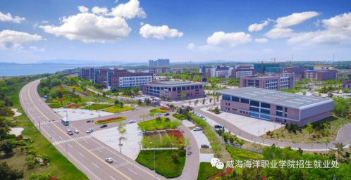 國有公辦全日制普通高等院校 威海海洋職業(yè)學院 以夢為馬 不負韶華