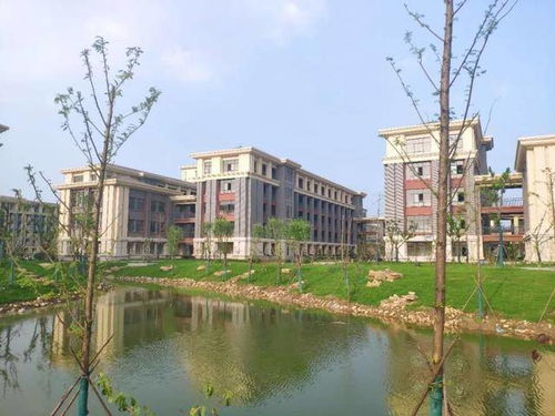 中安華力建設集團承建懷遠一中淮西校區ppp項目交付使用