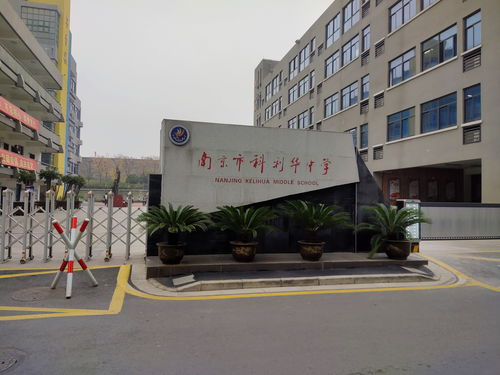 南京市科利華中學聯合民安應急救援中心開展校園急救技能專項培訓活動