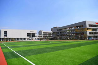 獨(dú)家探訪 新學(xué)期,包河投入使用的11所新校園,開啟逐夢新篇章