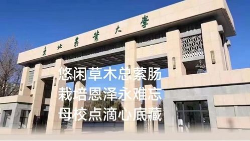 傳承東農精神,鑄魂 食 代新人 食品學院2023年畢業季特色系列活動