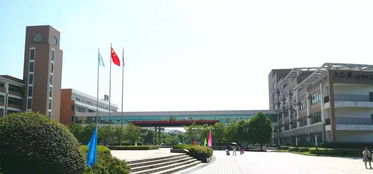 合肥一六八中學 溫馨校園 有序迎新