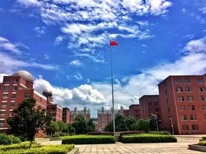 臨川一中第十屆常青藤英語夏令營活動花絮