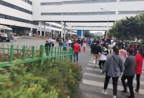 深圳普工六七千 醒醒吧,那些每月只能花1000的大有人在