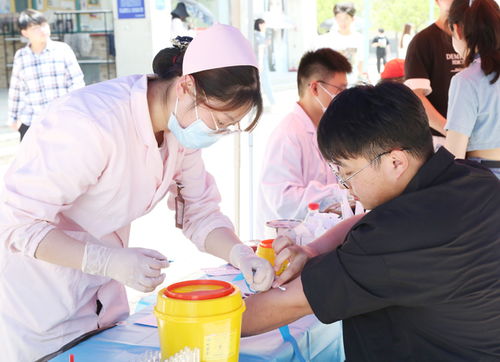 合肥信息技術職業學院就業指導中心