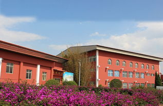 云南新興職業(yè)學院 2019年 就業(yè)