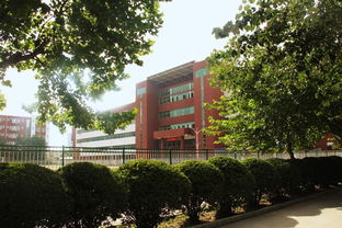 熱烈慶祝石家莊經(jīng)濟(jì)職業(yè)學(xué)院2013屆護(hù)理專業(yè)護(hù)士資格證過線率高達(dá)97